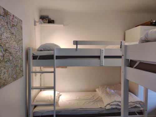 Katil dua tingkat atau katil-katil dua tingkat dalam bilik di Book in Borgafjäll - New cabins for rent at the slalom slope