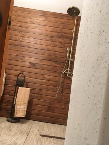 Bilik mandi di Mazanka ua Під Вишнею унікальний будинок на березі річки