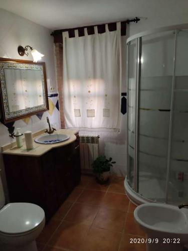 y baño con ducha, aseo y lavamanos. en La Casa del Marqués, en Logrosán