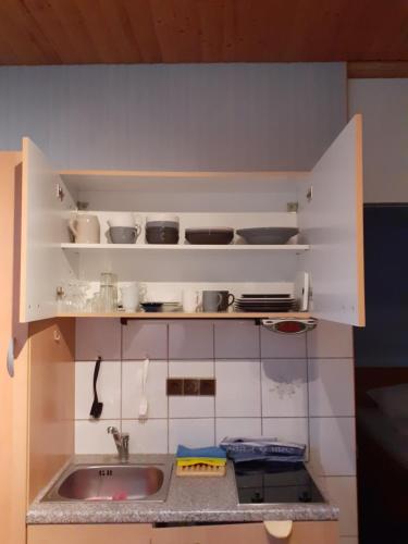 eine Küche mit einer Spüle und einer Arbeitsplatte in der Unterkunft Villa Tannerhof in Braunlage