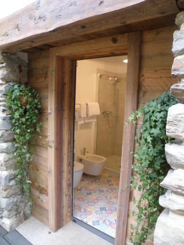a bathroom with a shower and a toilet in a room at La Vita in Campagna in Villa di Tirano
