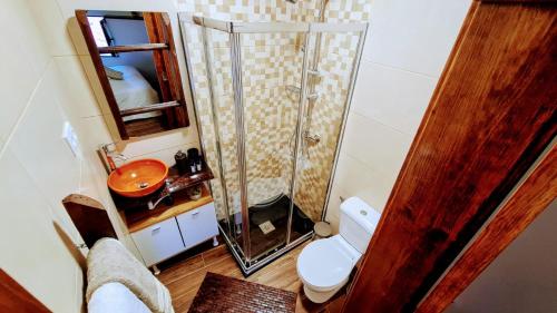 a small bathroom with a shower and a toilet at Casa Catraia Gondramaz no Pulmão da Serra da Lousã in Gondramaz