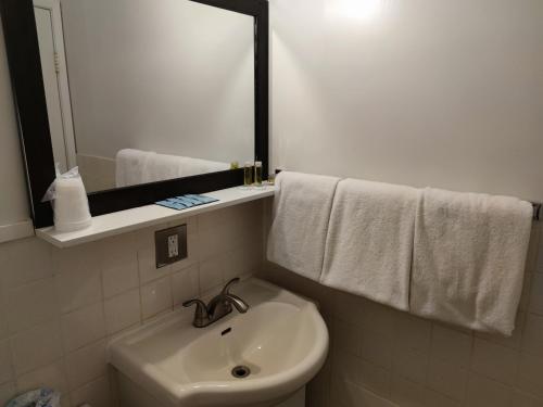 a bathroom with a sink, mirror, and towel rack at Pemberton Hotel (Motel) in Pemberton