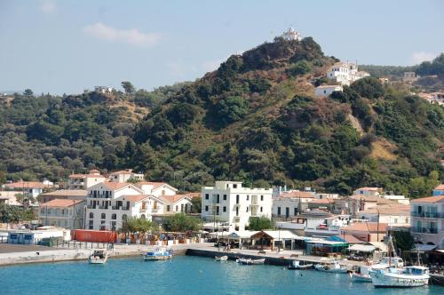 a town with boats in the water next to a mountain at Astir Hotel in Karlovasi