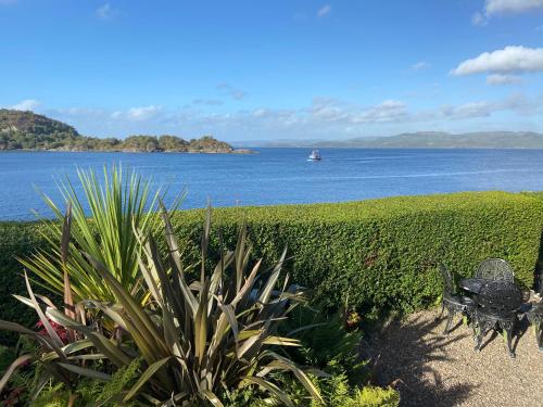 a field of plants with a boat in the water at Fasgadh Rooms in Tarbert