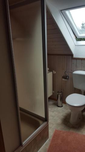 a bathroom with a toilet and a skylight at gemütliches Appartement mit Wohnküche und Balkon in Salem
