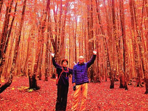 a man and a woman standing in a bamboo forest at Appi Life is Beautiful in Hachimantai