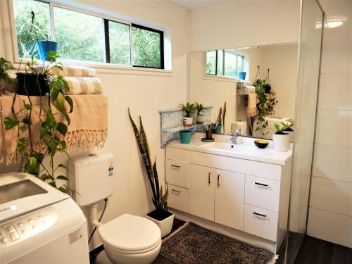 a bathroom with a toilet and a sink at Orchard Cottage - modern Australian Sunshine Coast holiday cottage on organic farm nr beach in Valdora
