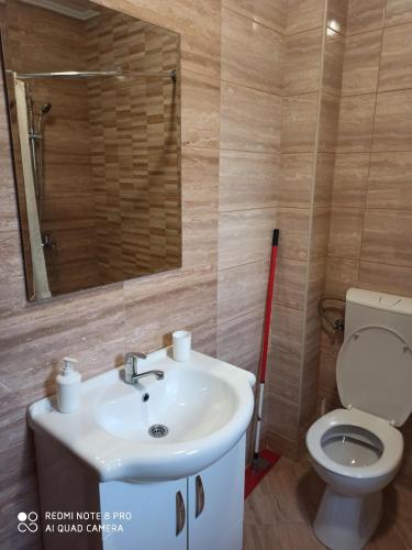 a bathroom with a sink and a toilet and a mirror at Apartman Mima in Banja Luka