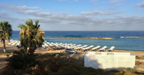 a beach with a bunch of white umbrellas and the ocean at Diamond Complex in Paphos City