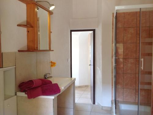 a bathroom with a sink and a mirror and a shower at La Coccinelle in Île du Levant