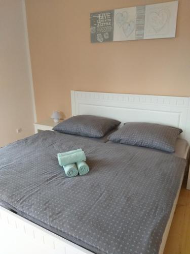 Zámecký apartmán v Horní Plané