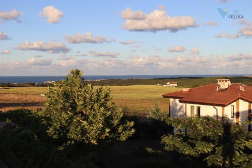 a house in a field with the ocean in the background at Vis Velika in Velika