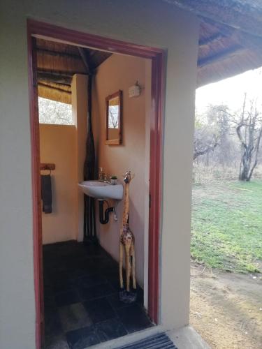 a bathroom with a giraffe standing next to a sink at Shumba Safari Bush Camp in Hoedspruit