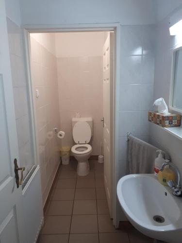 Vonios kambarys apgyvendinimo įstaigoje Vadaspuszta Vendeghaz