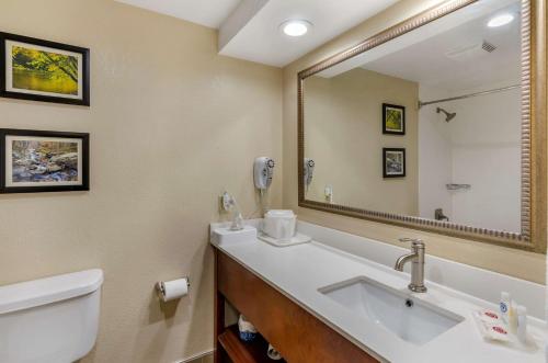 Ένα μπάνιο στο Comfort Inn