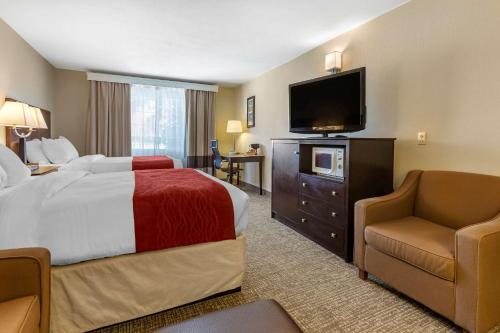 Postel nebo postele na pokoji v ubytování Comfort Inn & Suites North Tucson Marana