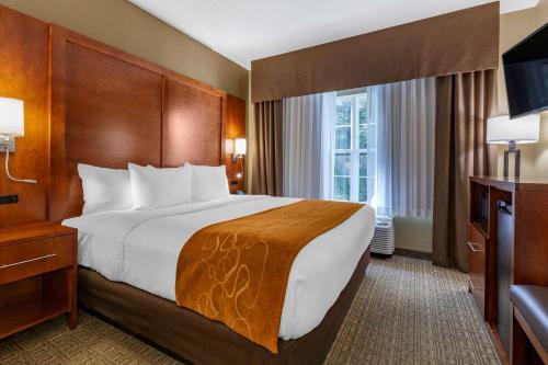 a hotel room with a large bed and a television at Comfort Suites in Marquette