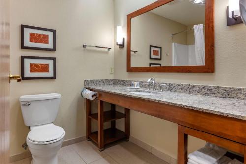 a bathroom with a toilet and a sink with a mirror at Comfort Suites in Marquette