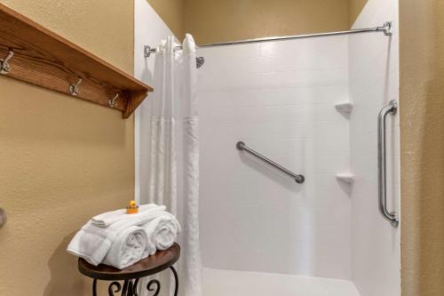 Gallery image of Comfort Inn Warrensburg Station in Warrensburg