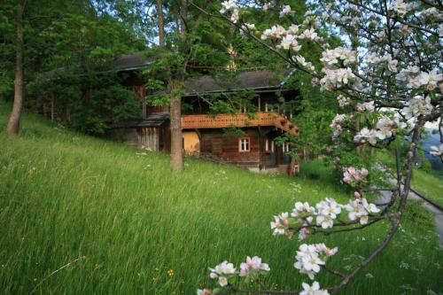 Afbeelding uit fotogalerij van Pension Trojerhof in Heiligenblut