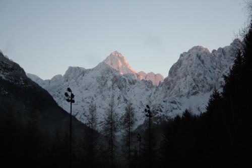 Gallery image of Vila Romana in Kranjska Gora