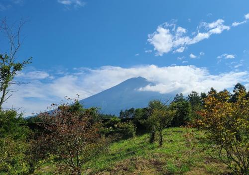 a mountain in the middle of a field with trees at Bluebird Hotel in Fujikawaguchiko