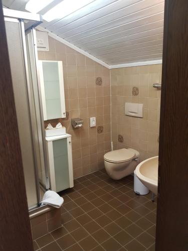 a bathroom with a toilet and a sink at Hiasl Stubn in Donnersbach
