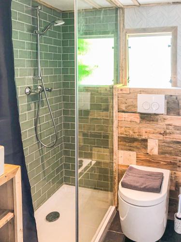 une salle de bain avec une douche en verre et des toilettes dans l'établissement STOERbuiten lodge Les Charmes, à Pech Sec