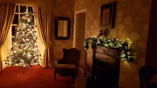 a living room with a christmas tree and christmas lights at The Harbour Masters House in Banagher