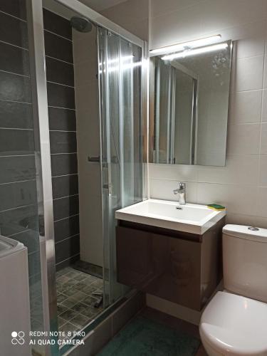 a bathroom with a shower and a sink and a toilet at MON CABOURG PLAGE in Cabourg