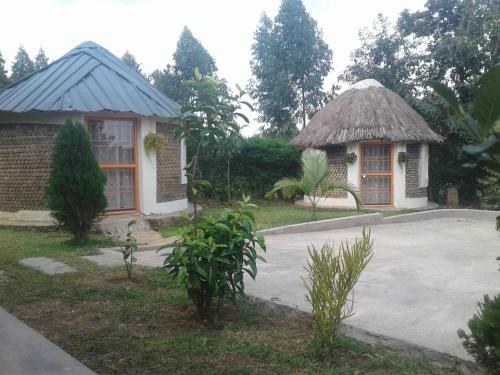 Zahrada ubytování Plastic Bottles House