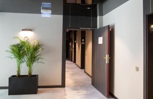 a corridor of an office with two potted plants at Albus 312 in Świnoujście