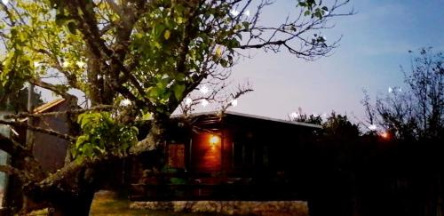 a tree sitting in front of a house at CABANA DO SOL in Torres Vedras