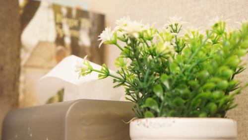 a potted plant with white flowers in a pot at Homy Inn North Point in Hong Kong