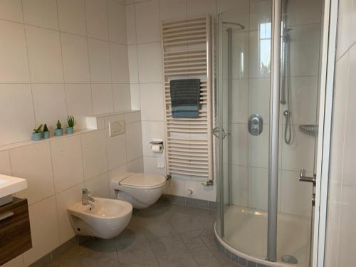 ein Bad mit einer Dusche, einem WC und einem Waschbecken in der Unterkunft Ferienoberwohnung in Villa Pesca in Cloppenburg