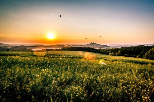 a field of flowers with the sunset in the background at Hotel Karel IV. in Turnov
