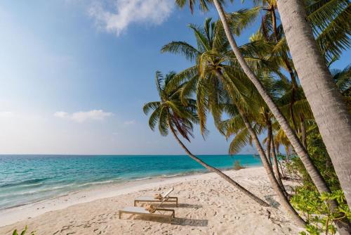 a beach with two benches and palm trees at Fiyavalhu Resort Maldives in Mandhoo