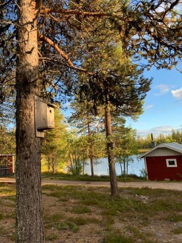 a bird house on a tree in a park at Wilderness and Calmness in Lapland in Nattavaara