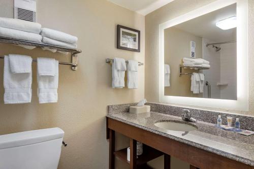 Afbeelding uit fotogalerij van Comfort Inn & Suites Airport in Little Rock