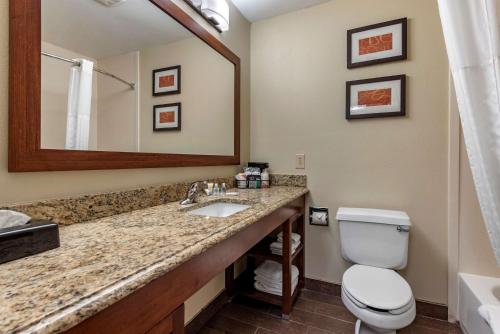 a bathroom with a sink and a toilet and a mirror at Comfort Suites Terre Haute University Area in Terre Haute