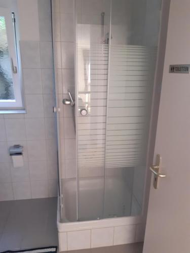La salle de bains est pourvue d'une douche avec une porte en verre. dans l'établissement Apartment 2,5 Zimmer im Ferienhaus Damian, à Braunwald
