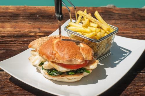 a sandwich and a basket of fries on a plate at Hotel Brienzerburli in Brienz