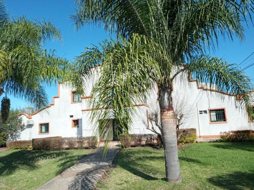 a palm tree in front of a white building at Hotel La Posta del Dayman in Termas del Daymán