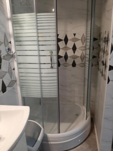 a bathroom with a shower and a sink at White City 1 Apartment in Belgrade