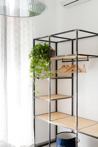a shelf with plants on it in a room at Borgo Vergini Garden B&B in Naples
