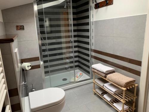 uma casa de banho com um WC e uma cabina de duche em vidro. em B&B Il Casale em Foligno