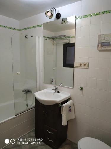 een badkamer met een wastafel, een spiegel en een toilet bij La Casilla de Nigüelas in Nigüelas
