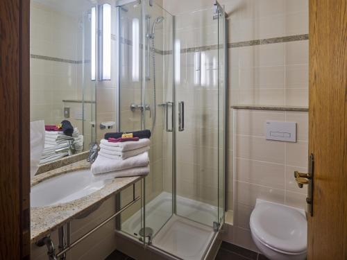 ein Bad mit einer Dusche, einem Waschbecken und einem WC in der Unterkunft Apartments & Zimmer - Zugspitze in Leutasch