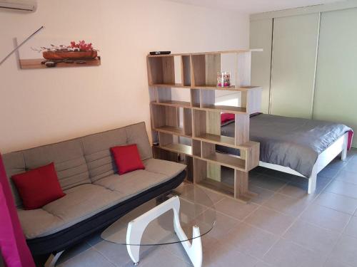 a living room with a couch and a book shelf at studio meublé Montjoly avec accès piscine in Rémire-Camp
